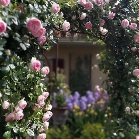 Costanza Con Giardino Appartement *